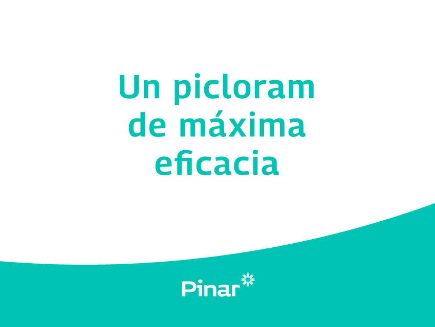 Pinar 1651605036_Pinar.jpg